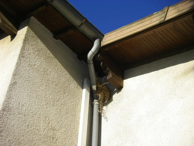 Le Nid de l'Ecureuil