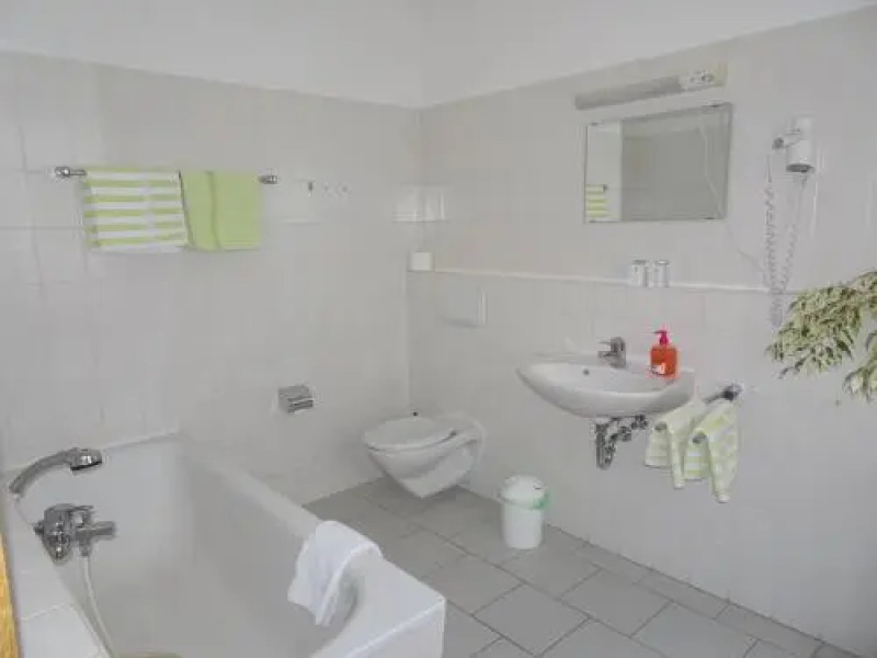 Zum Rosenbachschen Löwen