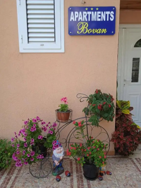 Apartments Bovan