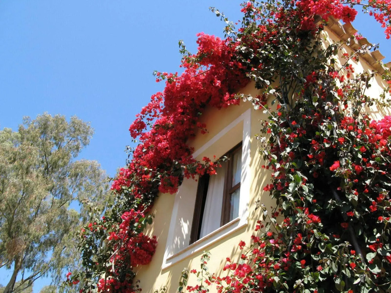 Borgo degli Ulivi Residence