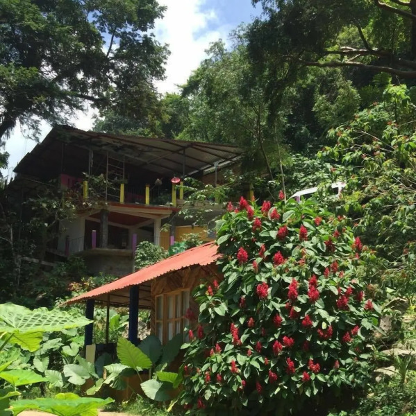 Cabañas y Casas del Árbol La Huerta