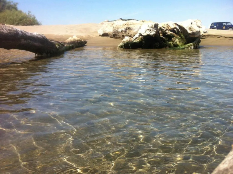 Le mas des mourguettes