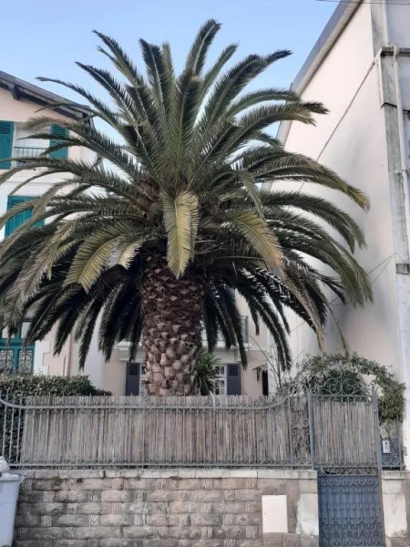 Dax a Pied! T1 2 Etoiles Centre Ville Balcon