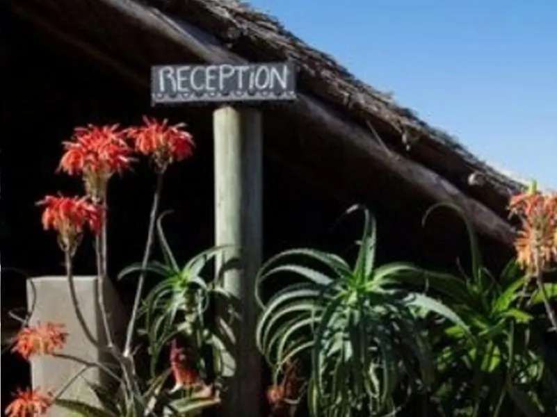 Swell Eco Lodge