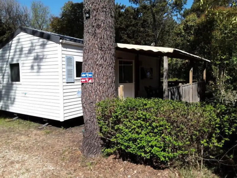 Camping l'Orée des Cevennes