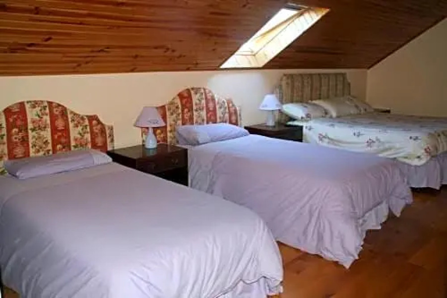 Woodview House Bed and Breakfast