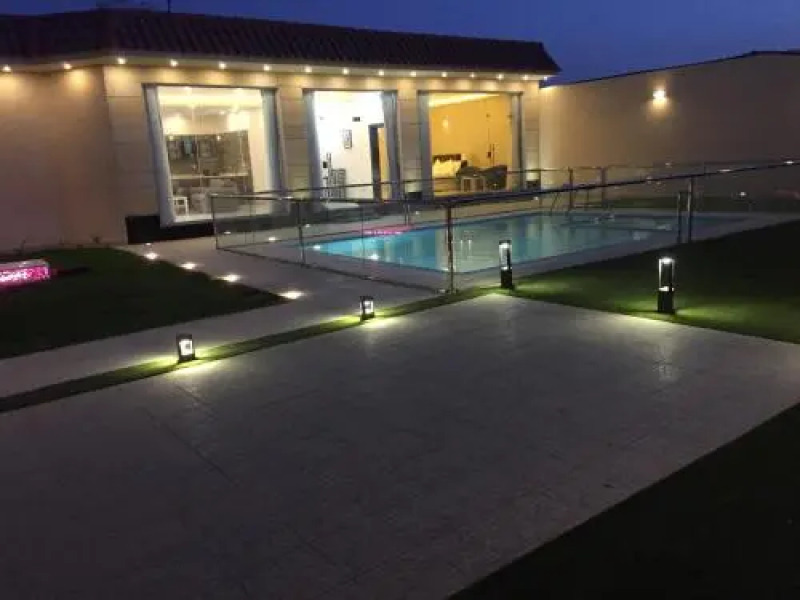 Alstroemeria Chalets