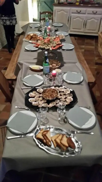 Les Chevaux De L'Hippocampe