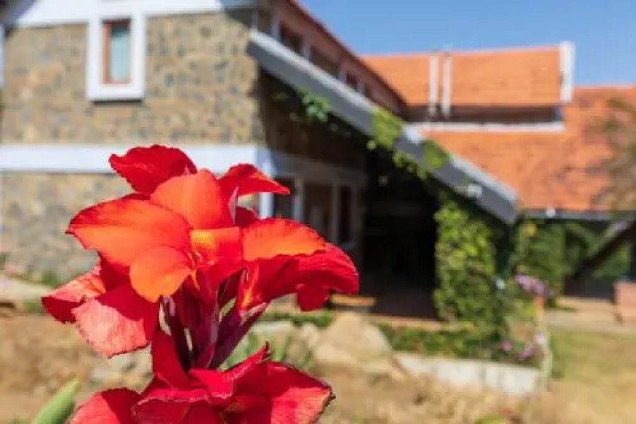 Wild Walkers by Vista Rooms