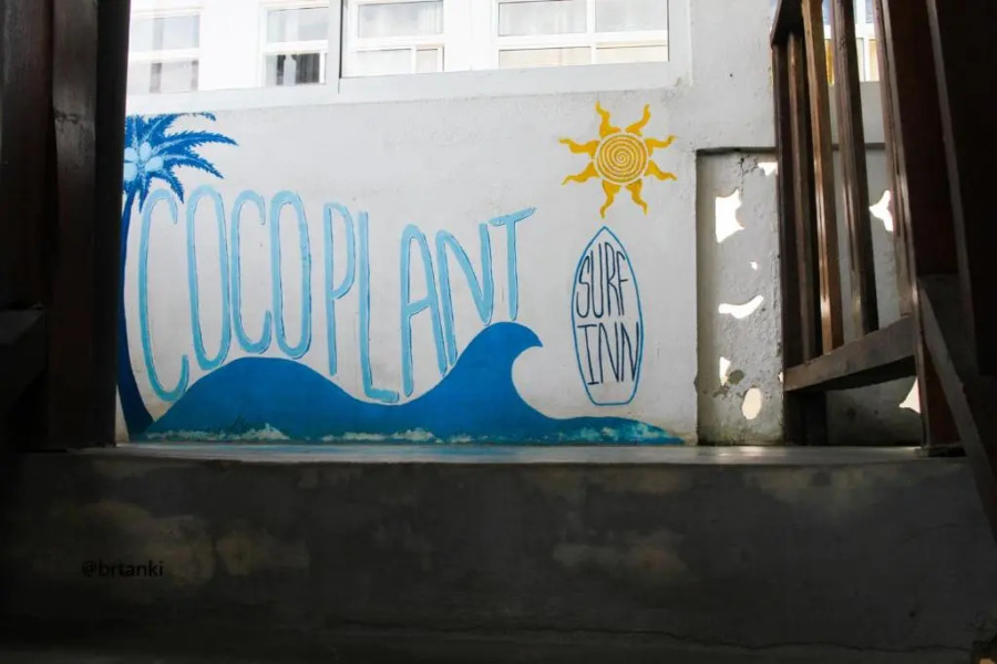 Cocoplant Surf Inn