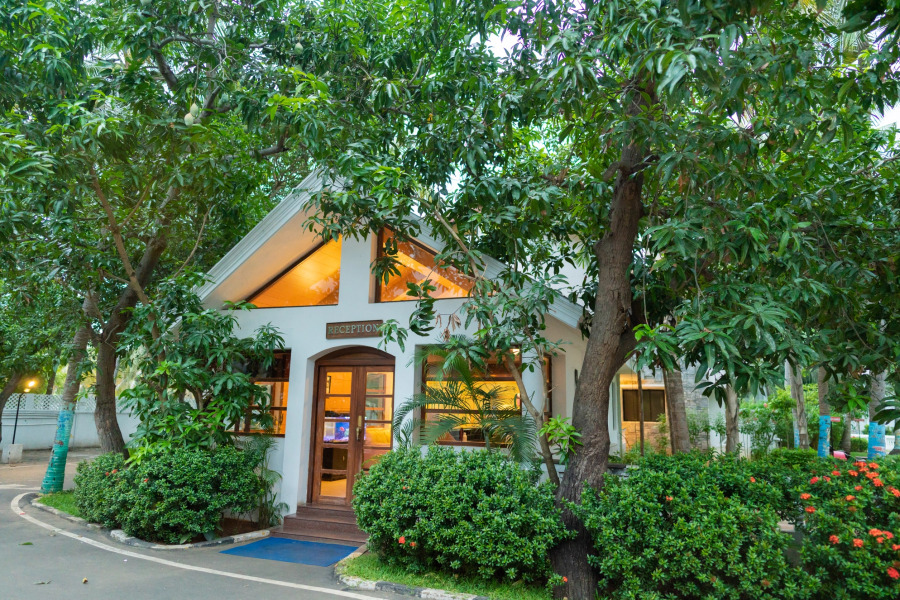 Shelter Beach Resort