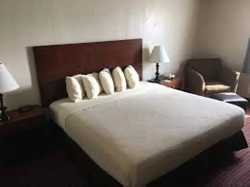 Best Western Territorial Inn