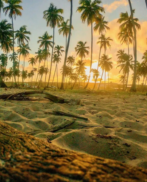 Reserva Do Paiva - A Melhor Casa Para Temporada