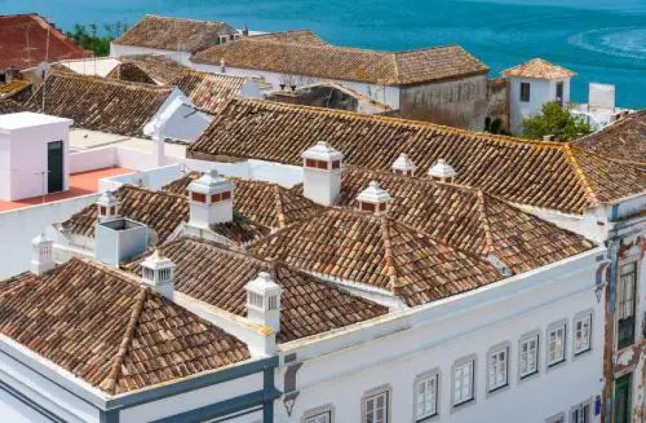 Farmhouse Of The Palms