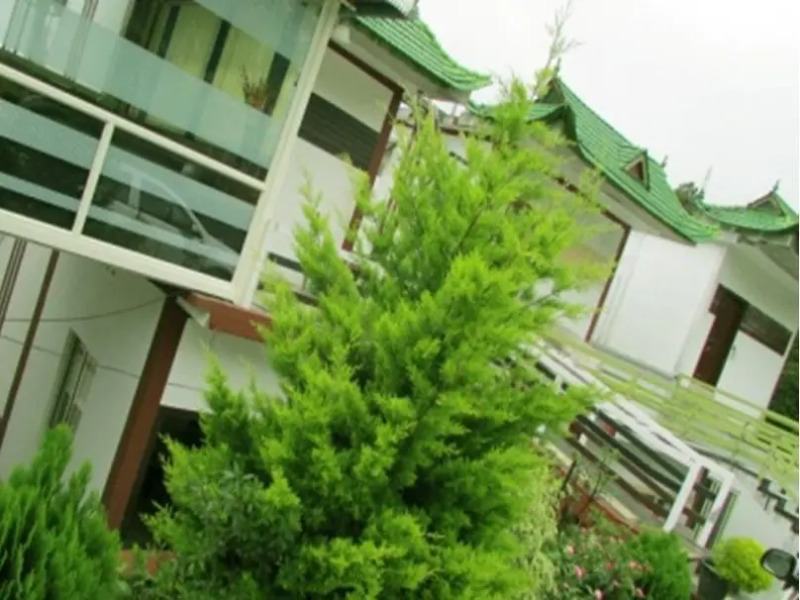 Green Trees Resort