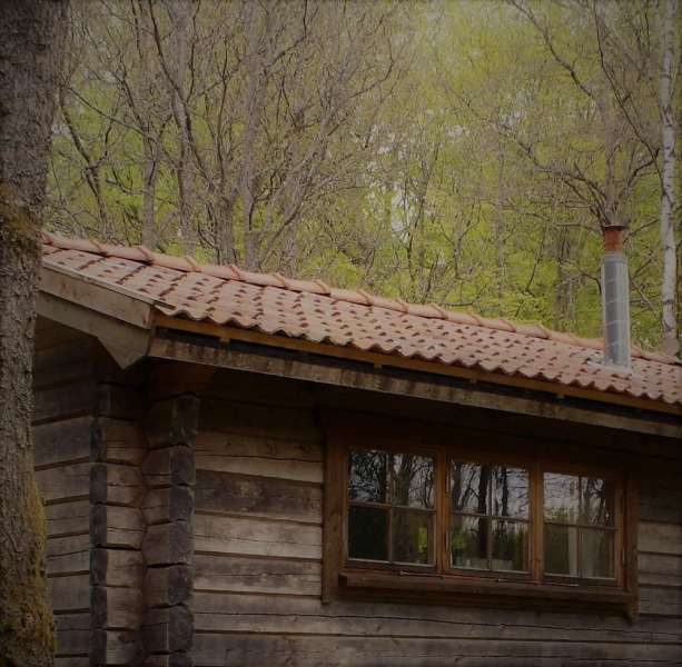 Bokebacken Forest Hotel