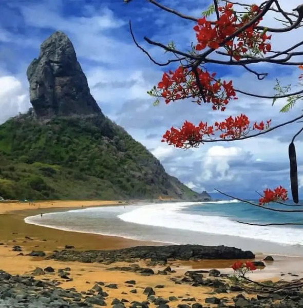 Pousada Flôr do Atlântico