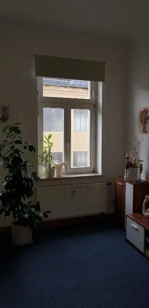 FeWo im Herzen Reichenbachs