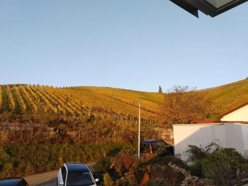 by VOLLMER´s komfortabel und chic