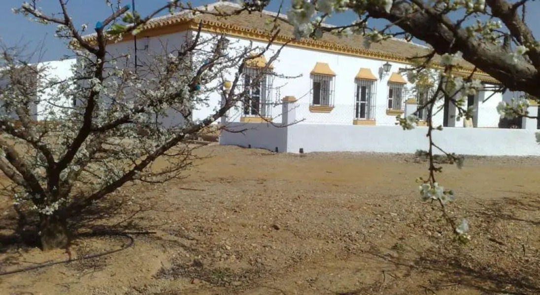 Finca Santa Isabel y Castellares