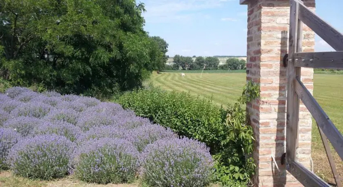 Noll tanya vendégház