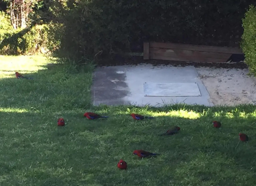 Stately Bowral Designer Home