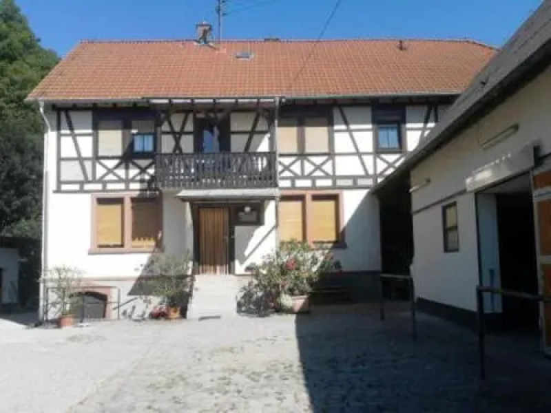 Pferdehof und Wanderreitstation Dörsam