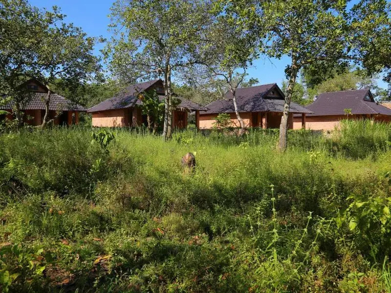 Cat Tien Forest Call Lodge