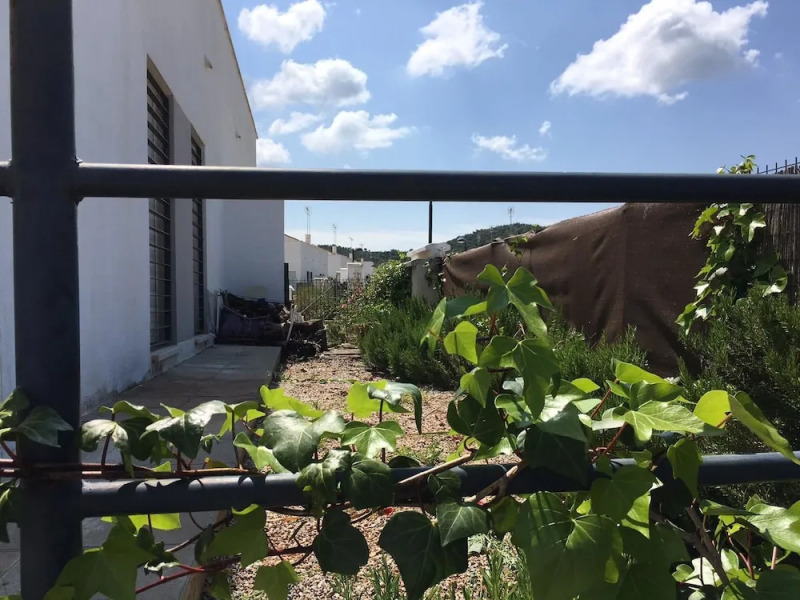 Nacimiento del Huéznar - Tomillo 17