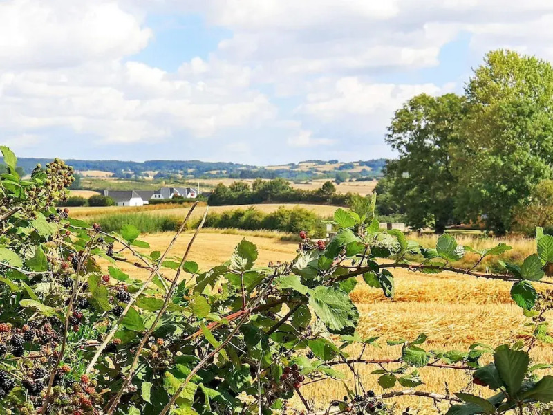 Bohemian Apartment in Faaborg near Sea