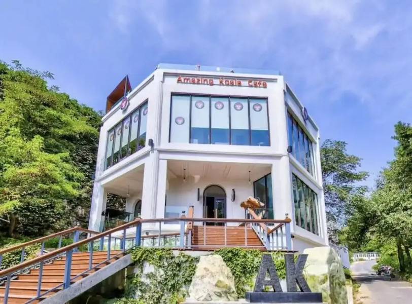 Amazing Koala Hostel Dalian