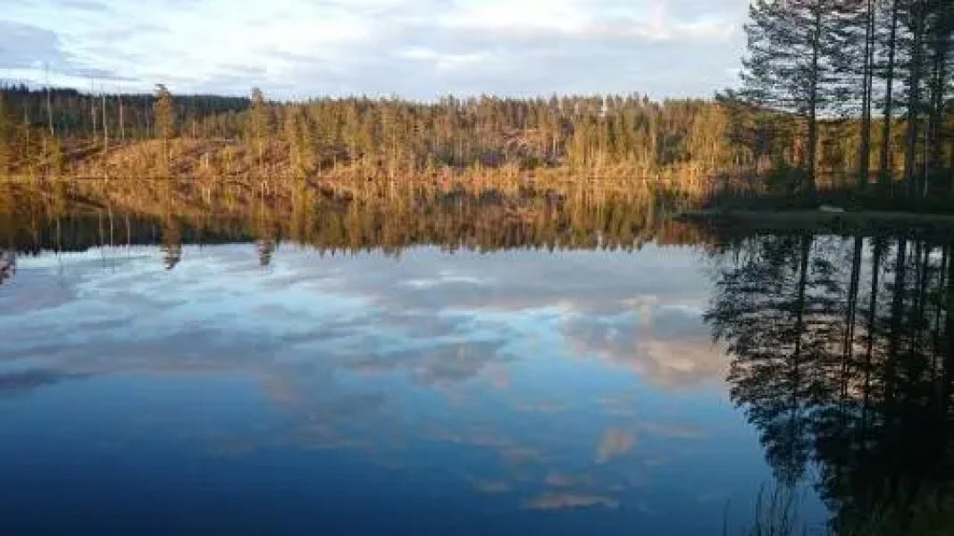 Vakantiehuis Lillstugan i Sverige