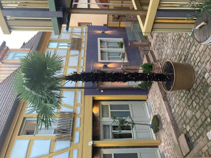 Der-einstige-TAUBENSCHLAG-in-der-Hofstallung-2-geschossiges-Deluxe-Maisonette-Apartment