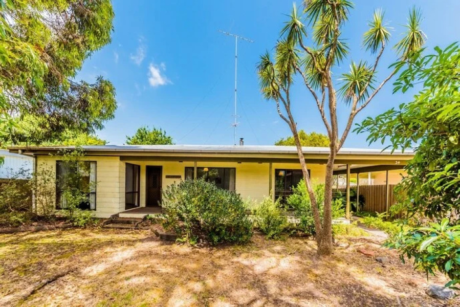 Driftwood On Anderson