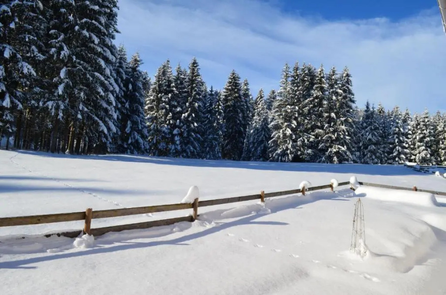 Feriendorf Via Claudia Haus 75 Waldromantik