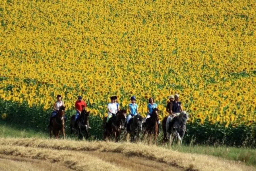 B&B Centro Ippico Andrea