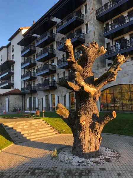 K's Place Apartment Pravets Golf Resort