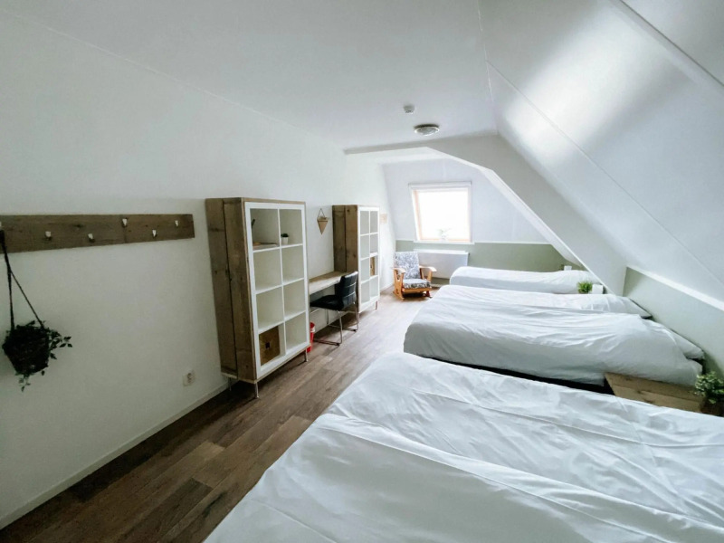 Farm Located in a Beautiful Area of Friesland