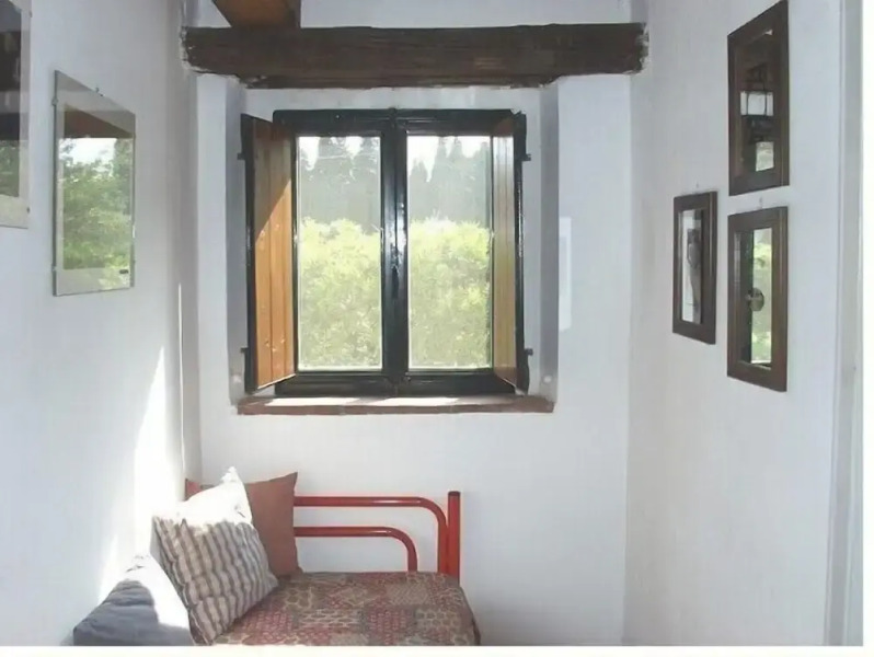 Codavolpe Giardino di Tea