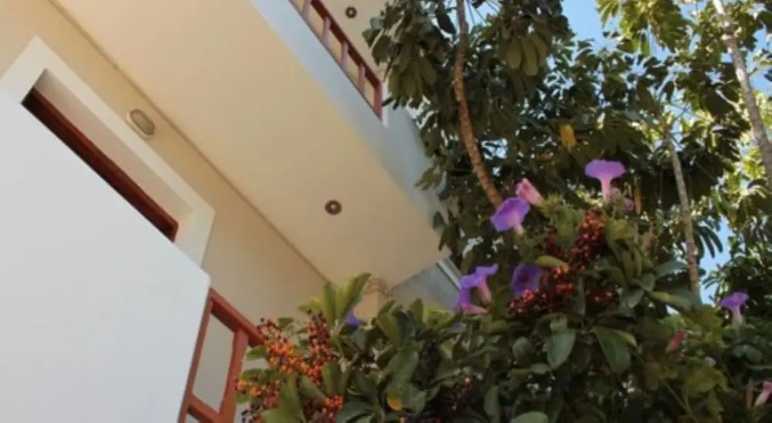 Alexandra Apartments Stalis by Estia