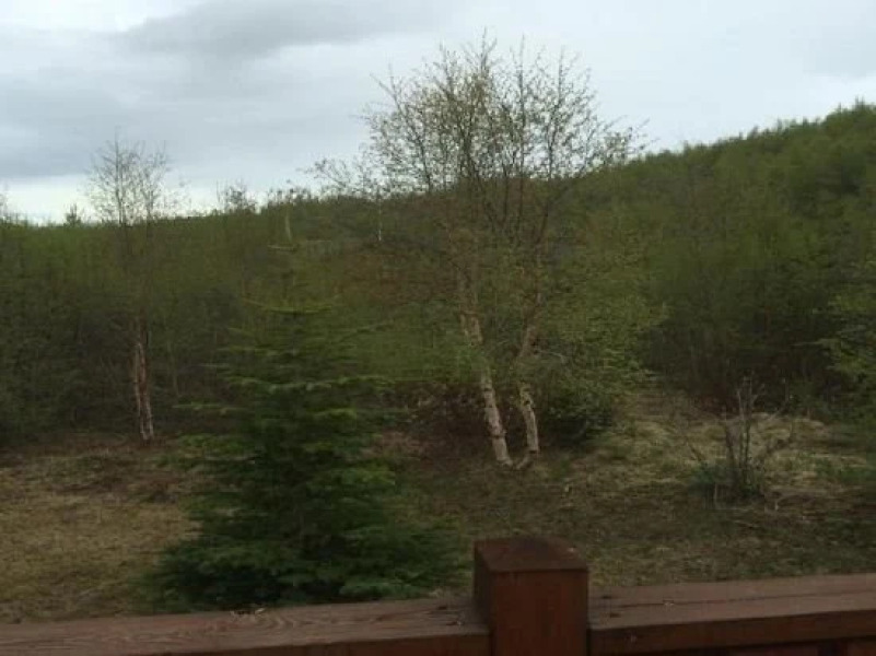 Summerhouse Vaglaskogur