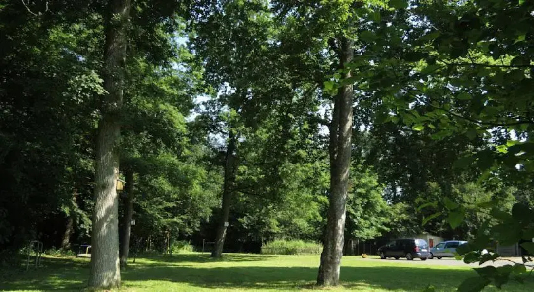 Hotel Waldschloesschen