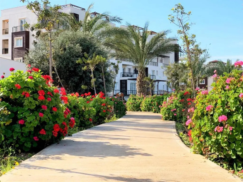 Relaxing Studio by the Sea