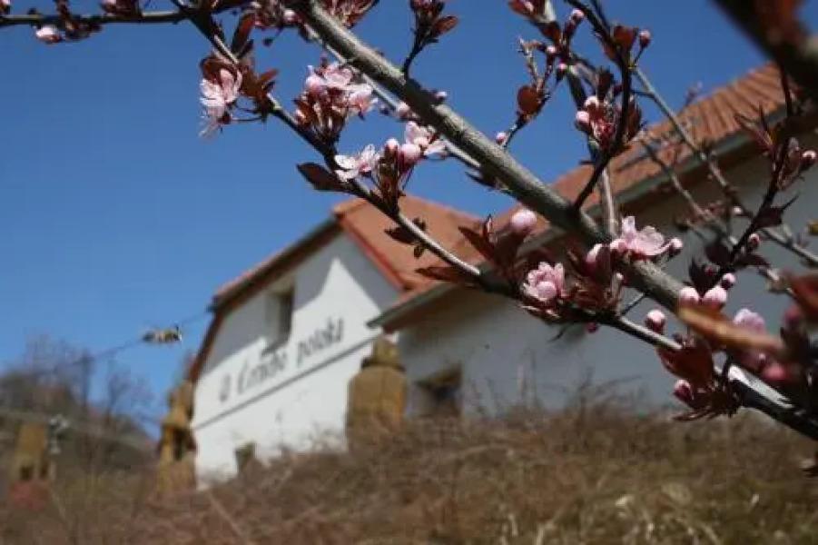 Penzion U Černého Potoka