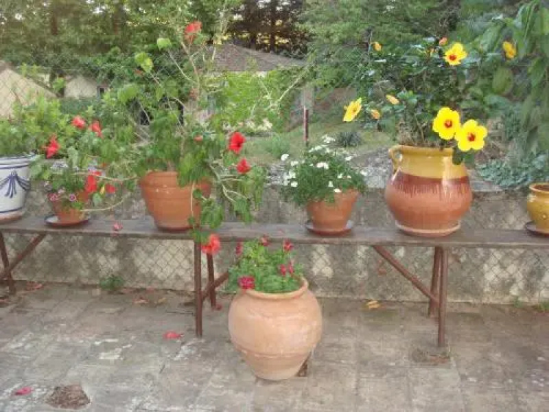 Domaine de Saint Clément