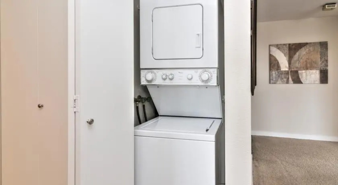 Essex by Stay Alfred