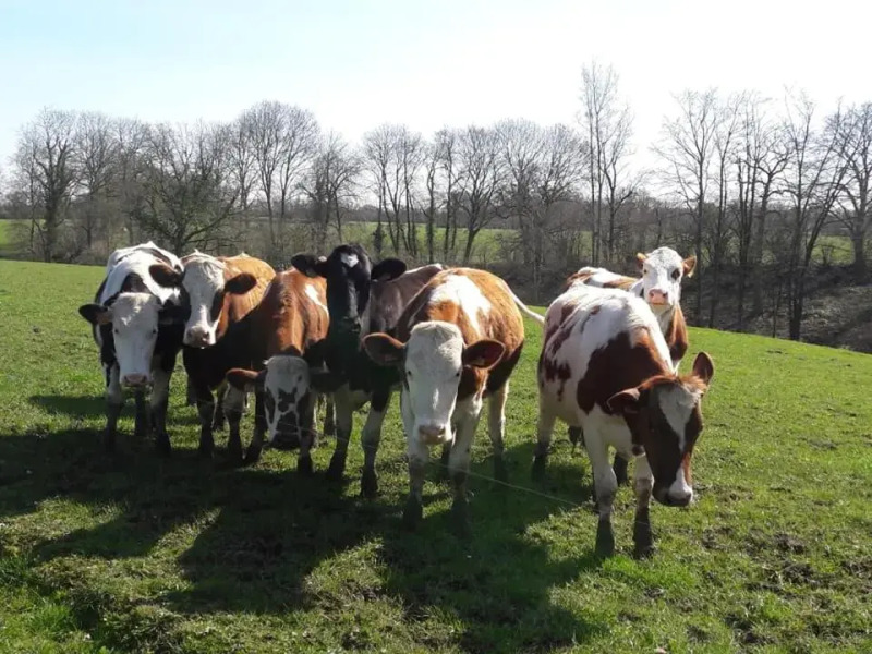 Glamping des 2 Marguerites