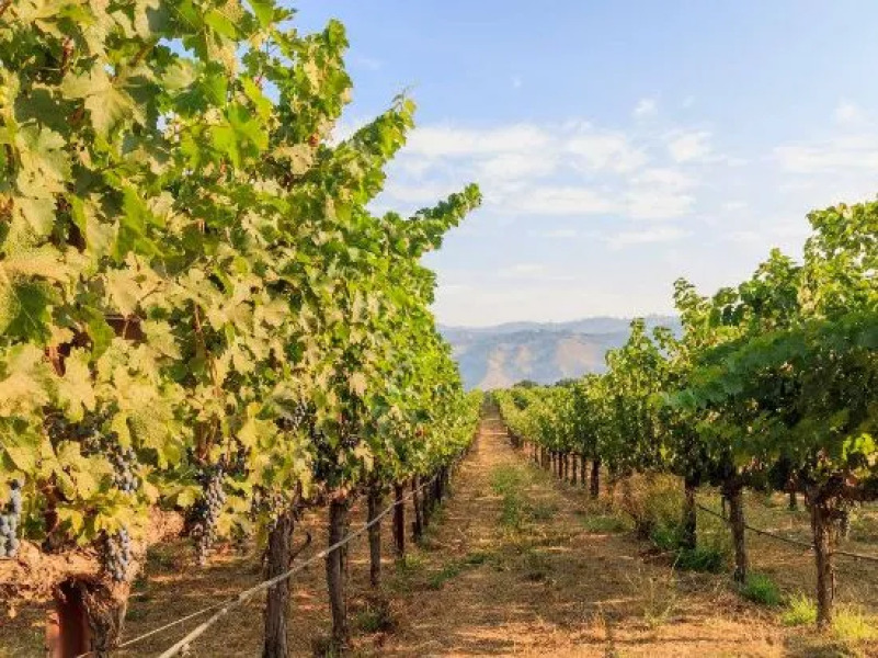 Courtyard by Marriott Novato Marin Sonoma