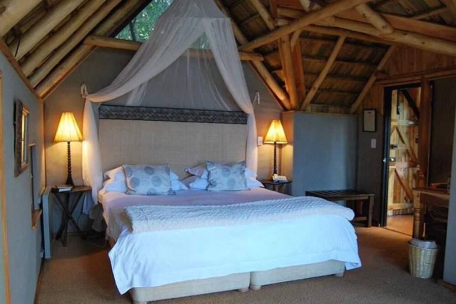 Phantom Forest Eco Reserve