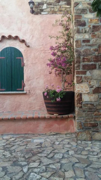 Bed & Breakfast "Le Ginestre"